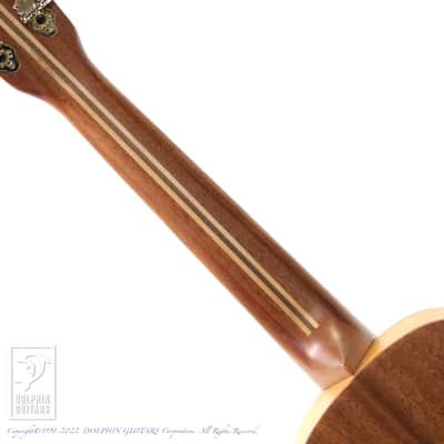 Lo Prinzi Ukuleles AM-T image 9