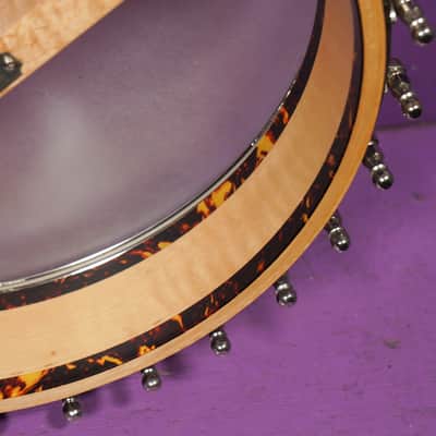 2010s Eastman Whyte Laydie-Style 5-String Openback Banjo (VIDEO! Fresh Work, Ready) image 13