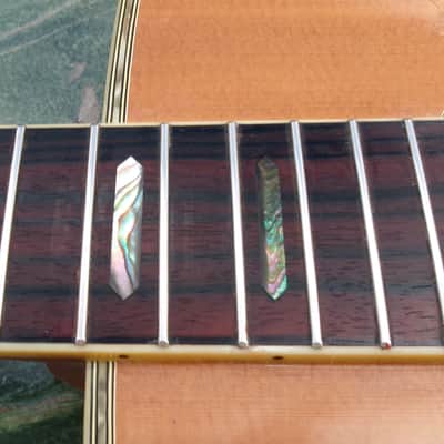 1976 Yairi YW-600 Dreadnought Guitar New Jacaranda + Yairi Hard Case image 24