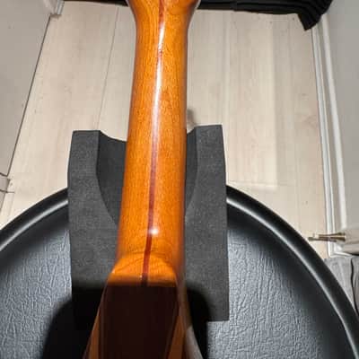 Vintage Bowlback 12 String Mandolin - Mandriola / Trichord image 9