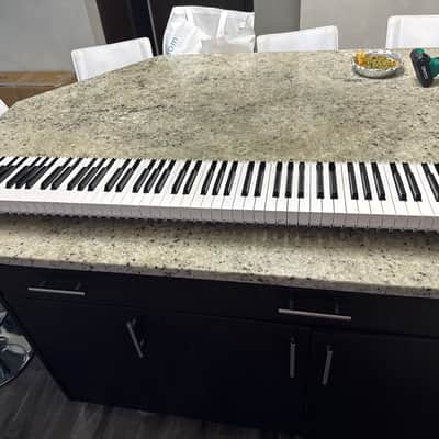 Korg SV-1  88 keyboard bed RH3 MIJ
