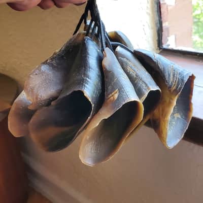 Hoof Rattles Set of 2 image 6