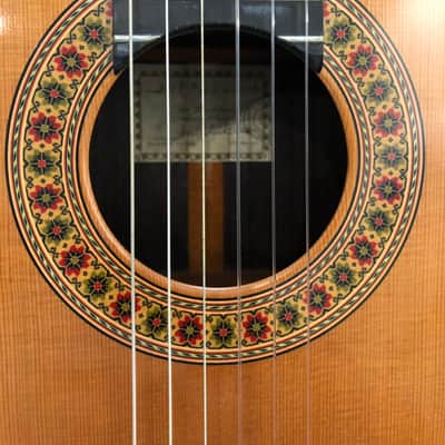 Tom Blackshear  Classical Guitar Rodriguez Concert Model 2013 French polish image 3