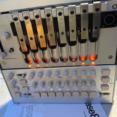 Korg phase8 w/ Limited Edition Resonators image 14