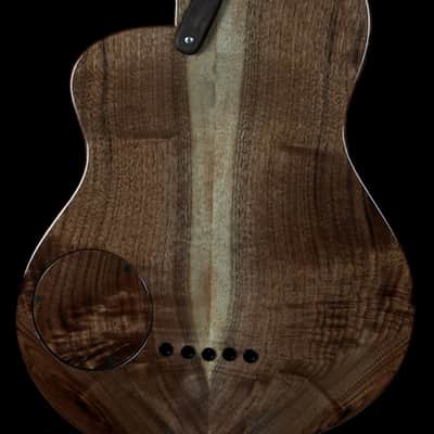 Renaissance Bass RB5 2015 image 17