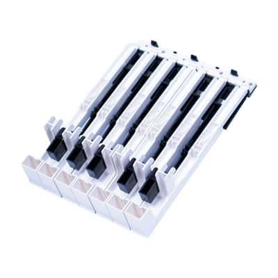 Korg 12-Note Key Assembly for LP-180, SP-170, SP-170S, SP-280 image 5