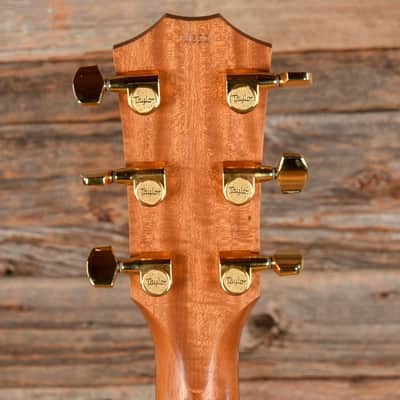 Taylor 217e SB Plus LTD Tobacco Sunburst 2024 image 7