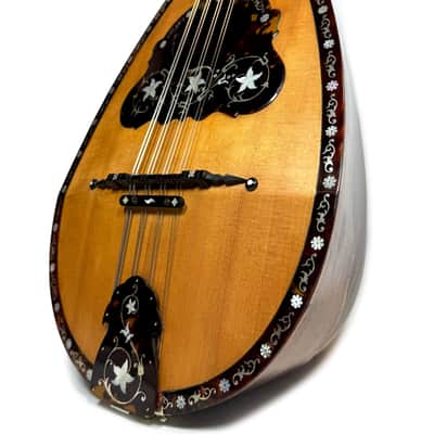 Umberto Ceccherini Mandola / Octave Mandolin (Giovanni Palladino Label) 1896 image 3