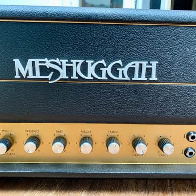 Fortin Amplification meshuggah amp #99 image 2