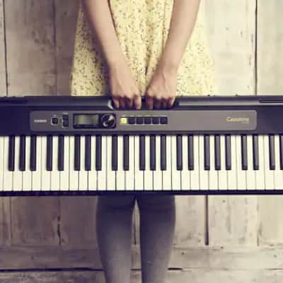 Casio LK-S250 Casiotone 61-Key Lighted-Key Keyboard image 5