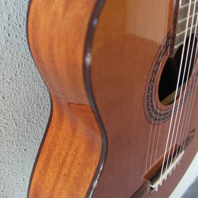 Brand New Cordoba Iberia Series Requinto Nylon String Classical Guitar - B Stock image 7