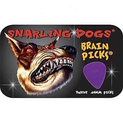Snarling Dog Guitar Picks Tin Brain Picks 12 Picks With Tin .60mm Purple image 2