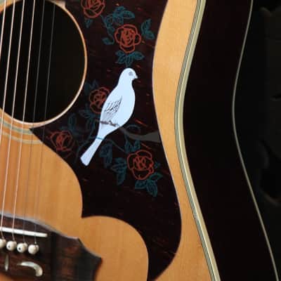 Early MIJ Lawsuit Dove by Mountain W-250 1974 image 1