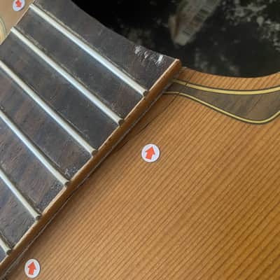 Eko 39 Inch Classical Guitar Project, Spruce Top, Rosewood Body, Mahogany Neck image 4
