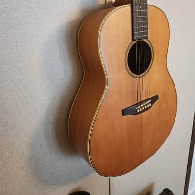 Alvarez Dreadnought - 5063 Wildwood - circa mid 1980's image 3