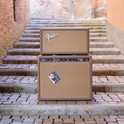 Fender 6G15 1963 - Brown image 3