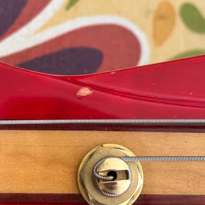 Peavey Rudy Sarzo Signature Bass w/ Peavey Leather Case! image 12