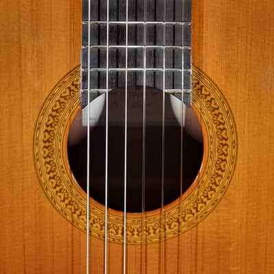 Vicente Sanchis (Luthier) 38 image 4