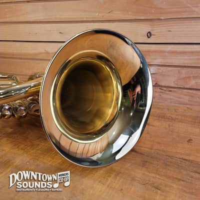 D. C. Pro Series II Bb Euphonium with Foam Hard Case, Mouthpiece, Bell Cover image 10