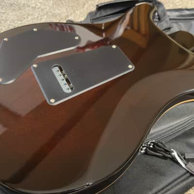 PRS SE DGT - 2026 - PRS Locking Tuners & Dark Rosewood Board! David Grissom Tremolo Signature 2023 - Present - Gold Top image 3