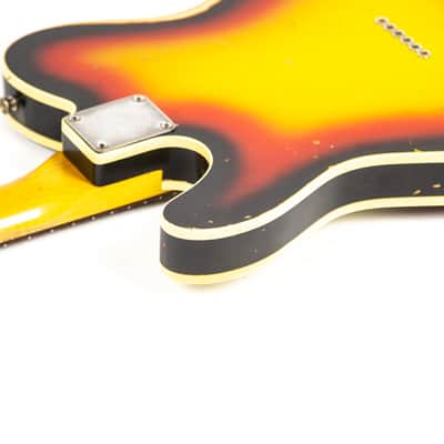 Nash Telecaster Owned by Nathaniel Rateliff image 20