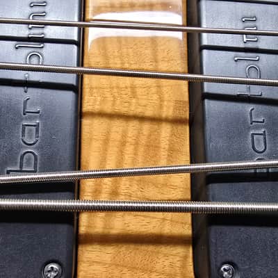 Roscoe SKB-3005 Custom image 8