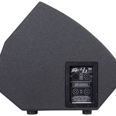 Peavey QWML QW Passive Monitor (left), New In Box Old Stock image 5