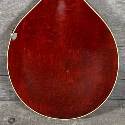 Gibson A-3 Mandolin 1919 - Ivory Top image 6