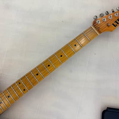 ESP LTD TE-254 Distressed 3-Tone Sunburst image 6