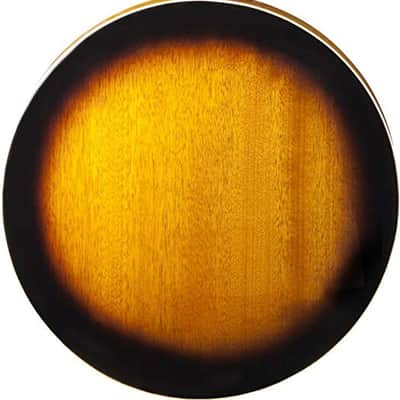 Washburn B10 Americana Series (5 String) Banjo image 2