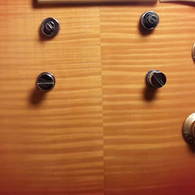 Arbor AP 230 –Les Paul-style – Low Action, Great Tone – Gorgeous Cherry Sunburst image 7