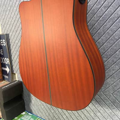 Fesley FDET280C 12 String SkunkWerx Stage Ready IN USA SETUP String Joy 2025 - Natural image 12