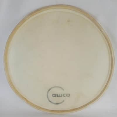 Camco 18" Calf Skin Bass Drum Head Resonant Logo Vintage 60s Oaklawn IL Bop Jazz image 4