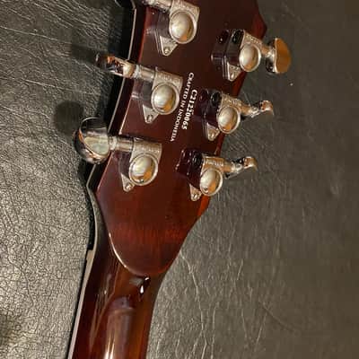 Michael Kelly Spalted Hybrid E/A 2025 - Spalted Burst image 9