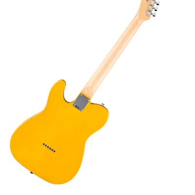 Fender Standard Telecaster -  Butterscotch Blonde image 3