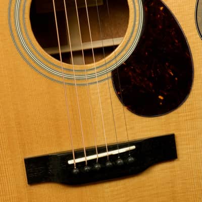 Eastman E10OM-TC image 10