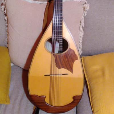Liuto cantabile (mandocello 5 courses) image 1