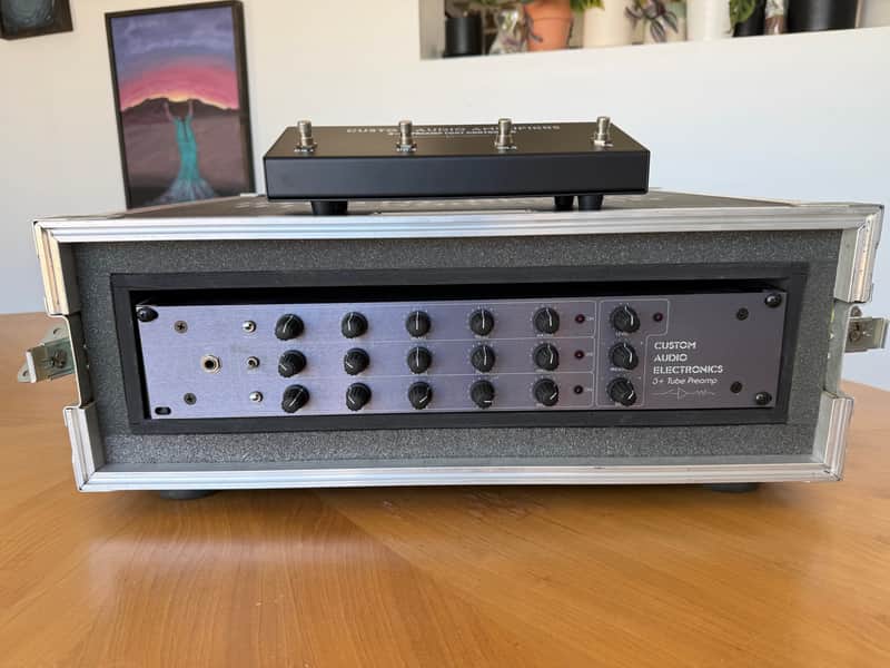 Custom Audio Electronics 3+ 90’s - Grey with road case image 1