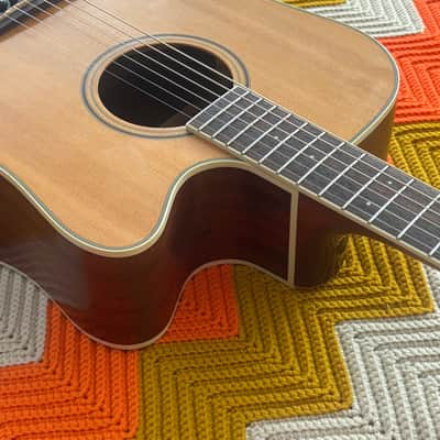 Parkwood PW360M Solid Wood Dreadnaugh Acoustic Electric - 2005! - Great Guitar! - image 9