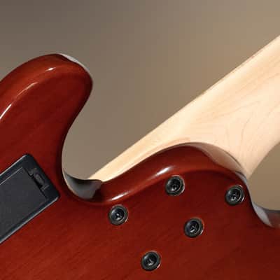 Cort GB-FUSION 5 | 5-String Active J-Style Bass Guitar. New with Full Warranty! image 22