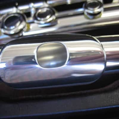 Mint Open Box Di Zhao DZ 701BEF Flute, Solid Sterling Silver Head, Body & Low B Foot, Offset G, Split E; with Case image 6