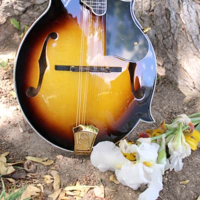 Washburn M3SWK Bluegrass F-Style Mandolin with Hardshell Case- Sunburst image 24