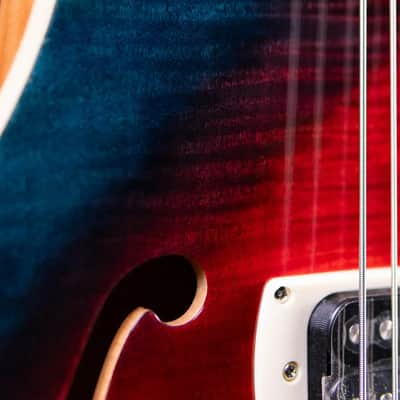 PRS SE Ed Sheeran Hollowbody I Baritone Piezo Electric Guitar - Prism with Gig Bag image 11