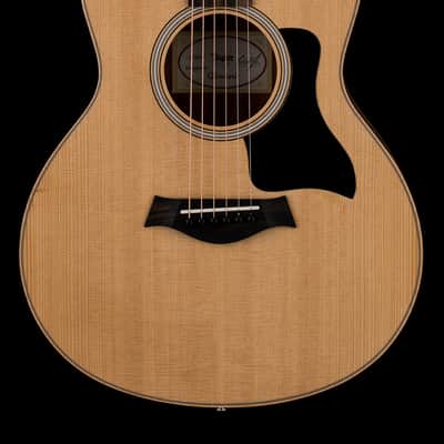 Taylor GS Mini Sapele #36190 image 1