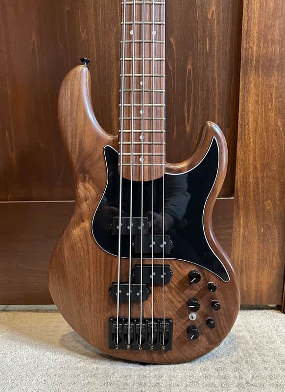 Alien Audio Constellation 2023 Walnut/Maple/Rosewood — Nordstrand equipped 5 string bass guitar image 1