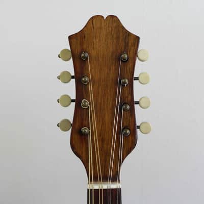 Giuseppe Indelicato Contarino Neapolitan Mandolin - c. 1910 - Made in Catania, Italy image 14