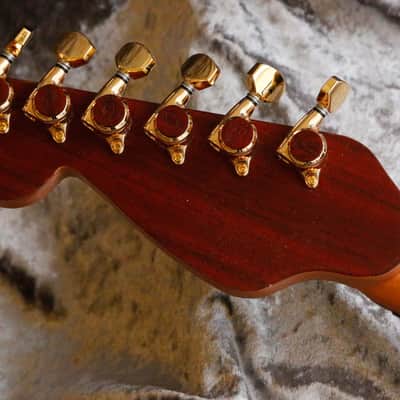 Build to order GB Liuteria Boutique Petra 6 string fiber optic lights edition image 8
