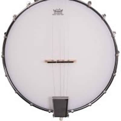Washburn B7 Open Back 5-String Banjo TGF33 image 2
