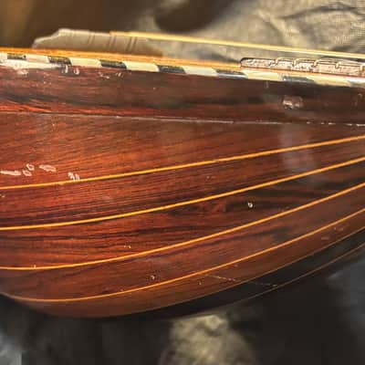 American Conservatory Lyon & Healy Bowl Back Mandolin - Early 1900s - Brazilian Rosewood - Great Player - Ship FREE!!! image 14