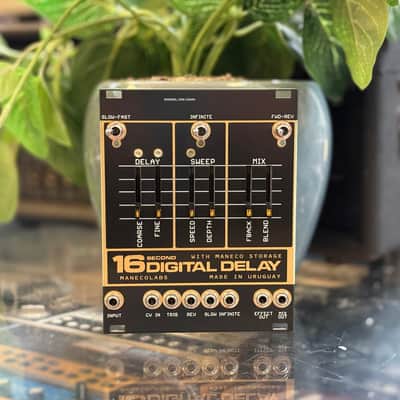 Maneco Labs 16 Second Digital Delay Eurorack Module image 1
